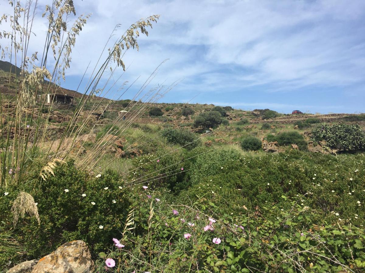 Dammusi Il Serralh -Pantelleria- Villa Scauri  Esterno foto