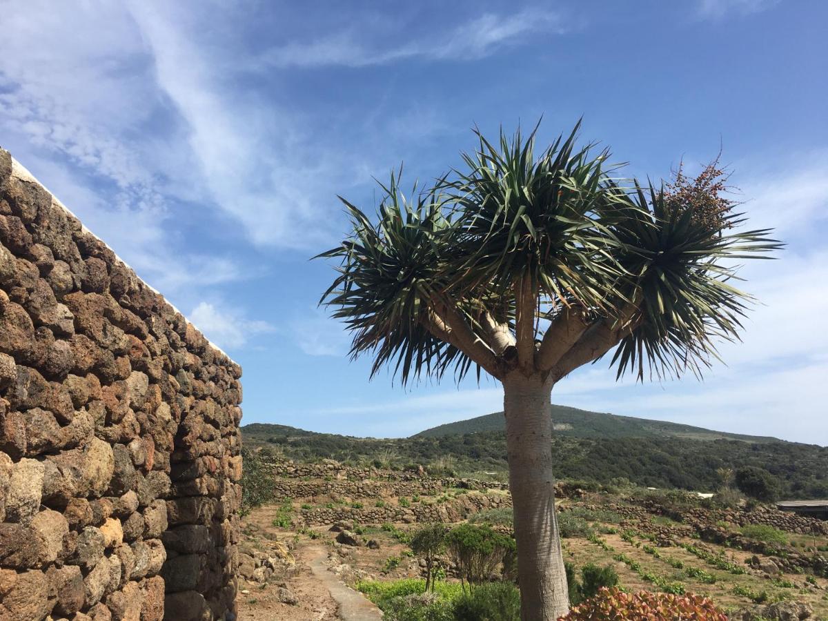 Dammusi Il Serralh -Pantelleria- Villa Scauri  Esterno foto