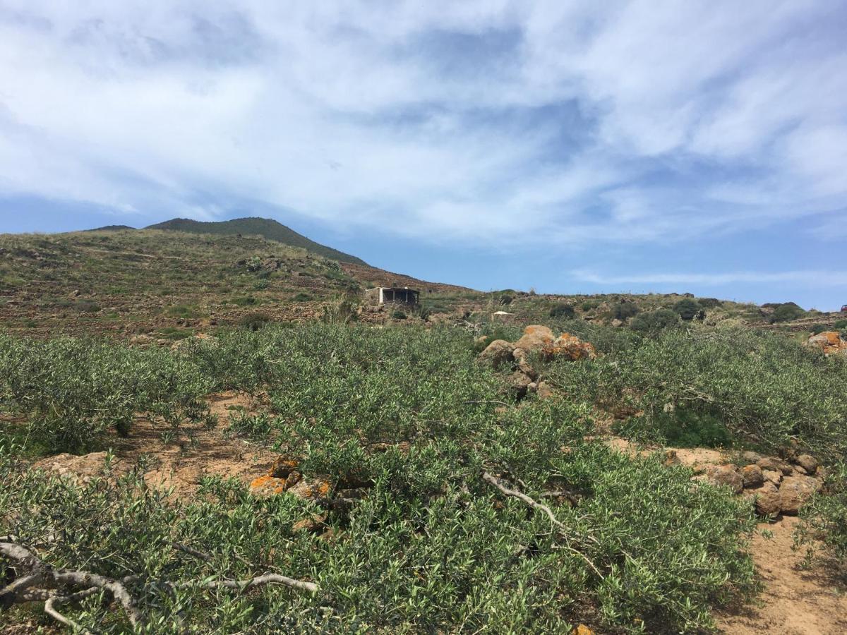 Dammusi Il Serralh -Pantelleria- Villa Scauri  Esterno foto