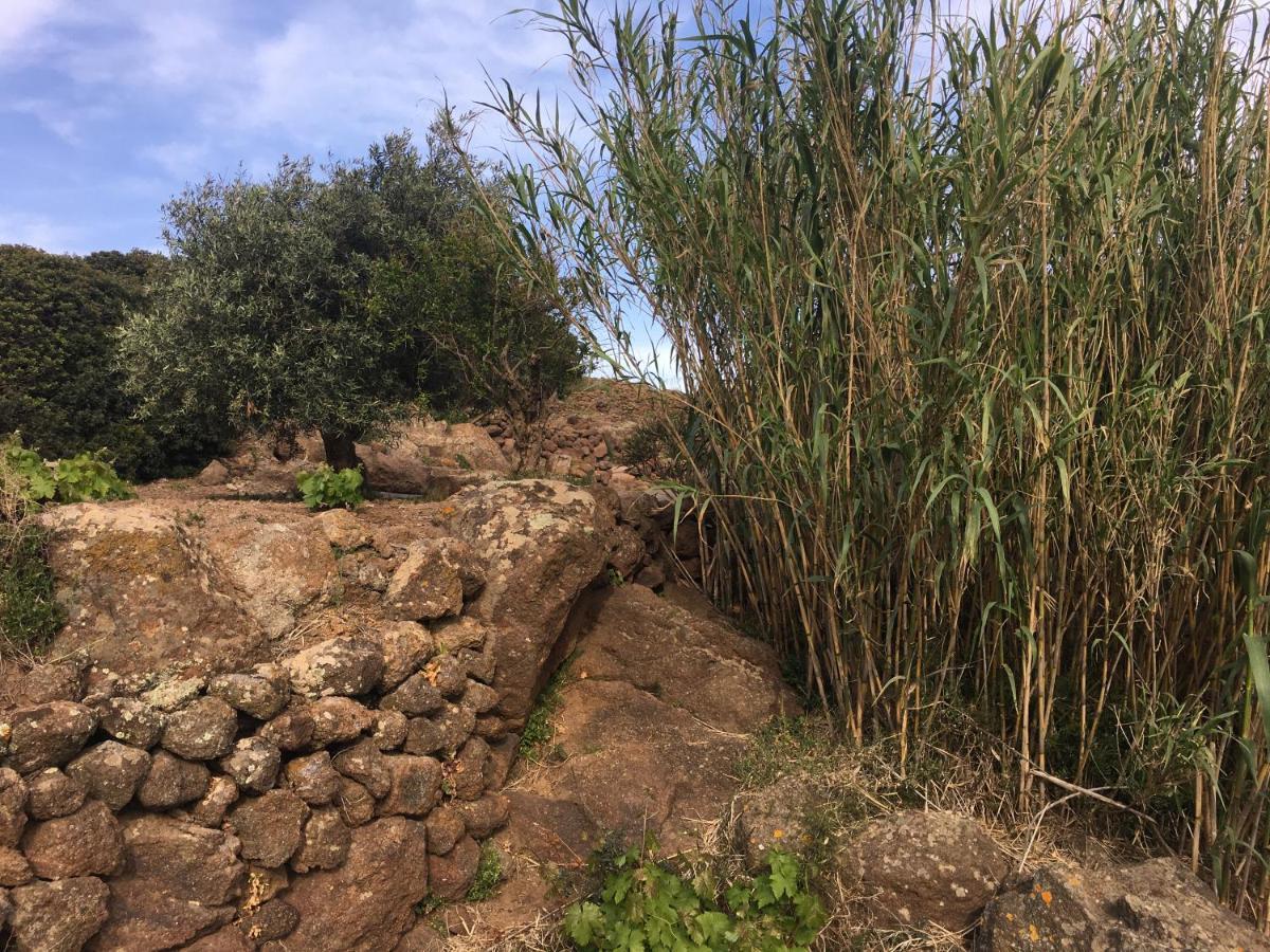 Dammusi Il Serralh -Pantelleria- Villa Scauri  Esterno foto