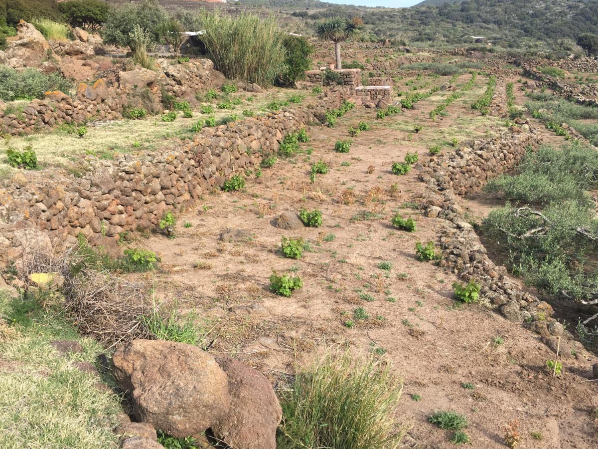 Dammusi Il Serralh -Pantelleria- Villa Scauri  Esterno foto