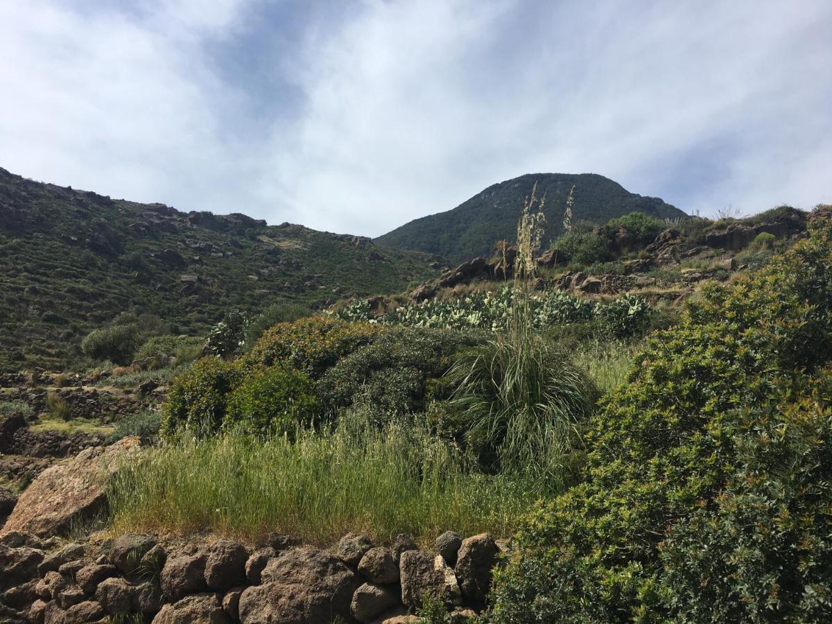 Dammusi Il Serralh -Pantelleria- Villa Scauri  Esterno foto