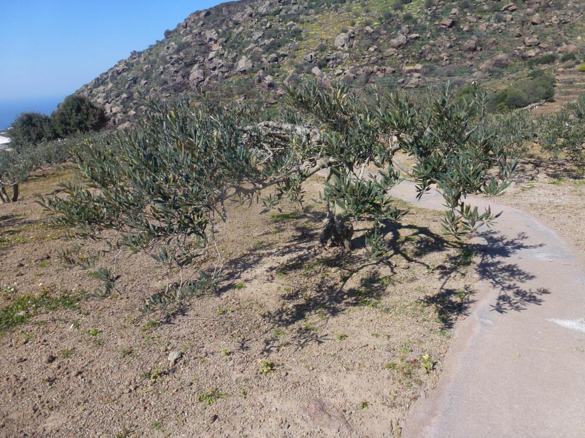 Dammusi Il Serralh -Pantelleria- Villa Scauri  Esterno foto